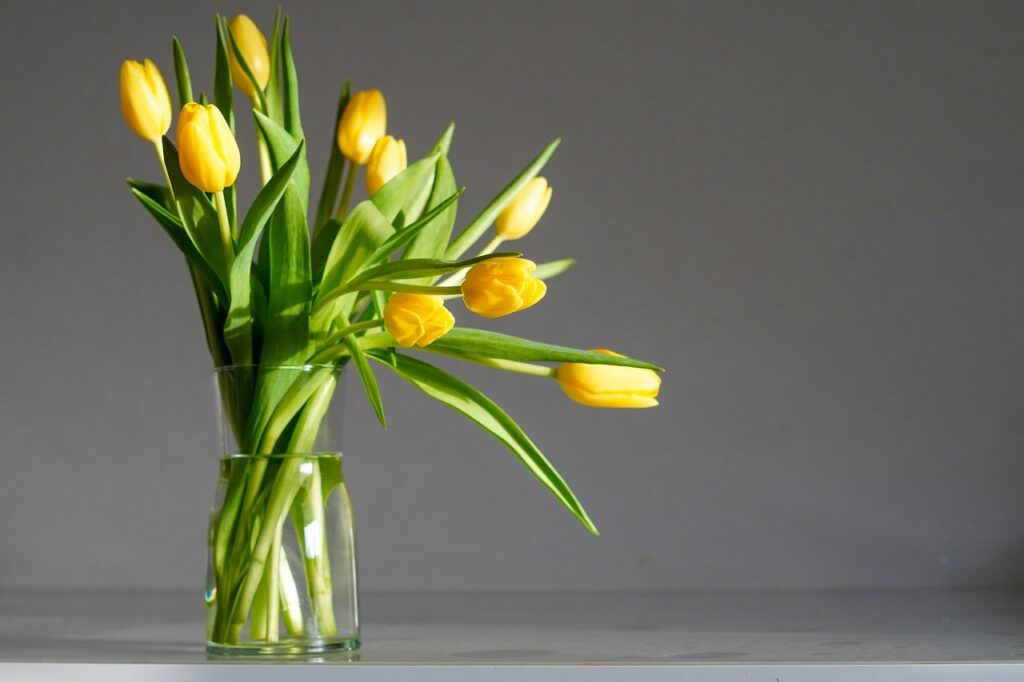 Bouquet of yellow tulips with closed buds/ Pixabay/ JohnyVid