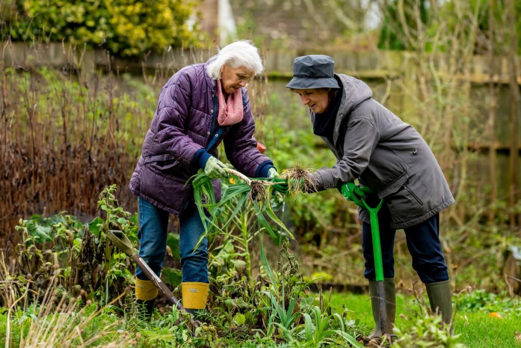 Two older women gaining health benefits from gardening/senior friendly garden