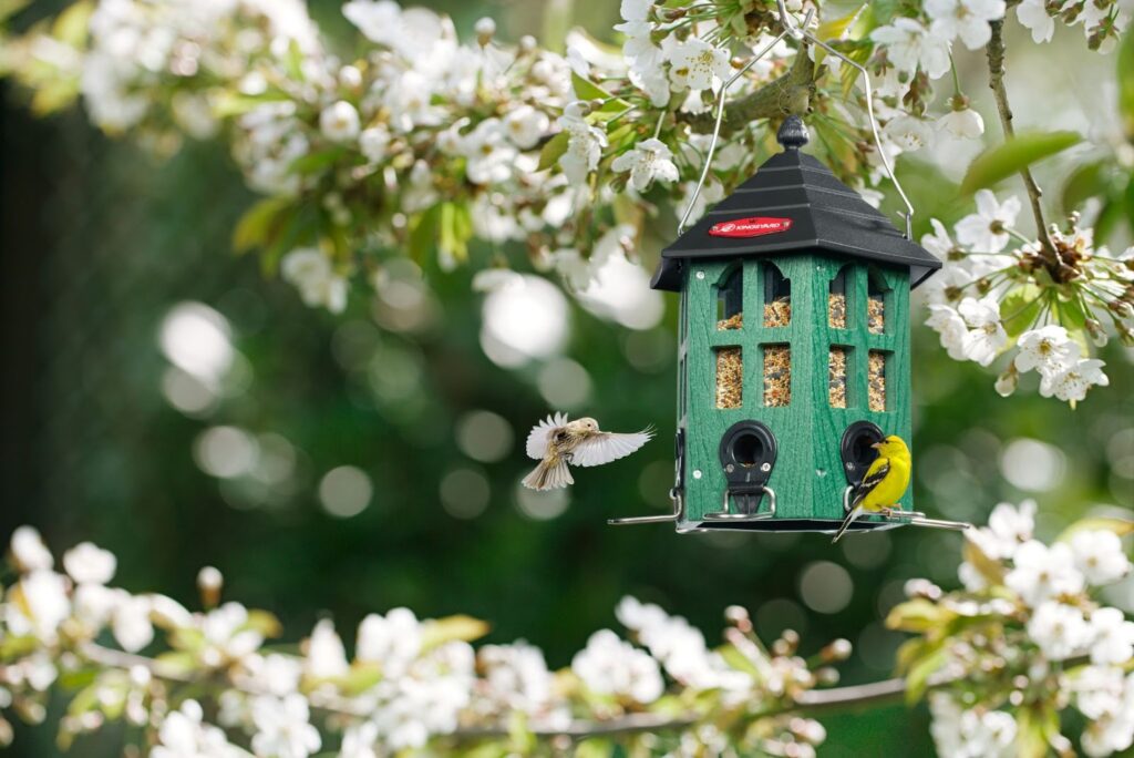 Kingsyard wild bird feeder hanging outside, attracting goldfinches and small birds.
