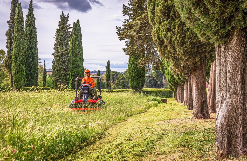 farmer mowing down tall grass/ pixabay