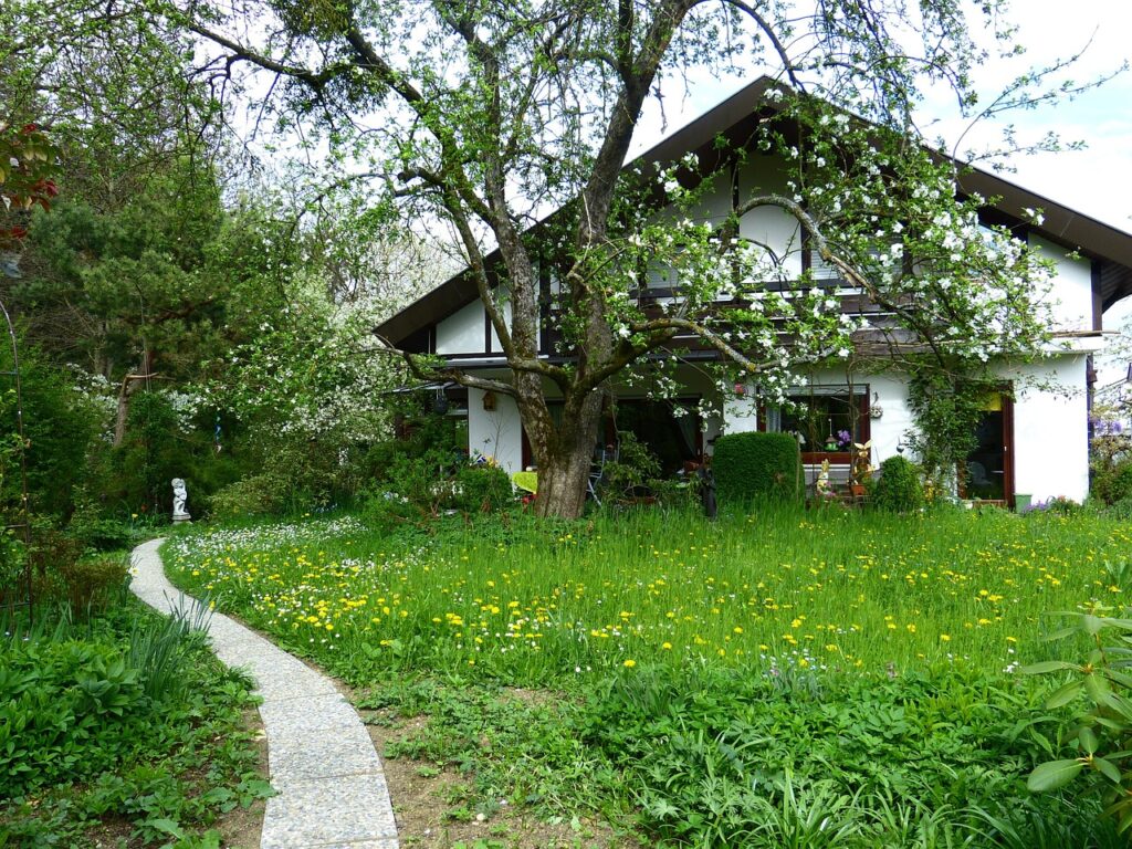 a white house with an unmown lawn. has lots of low growing flowers/pixabay