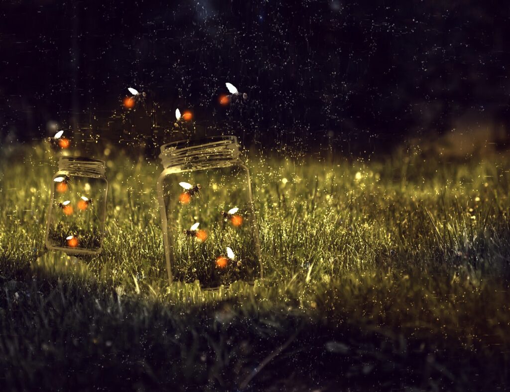 the magic of fireflies in a jar