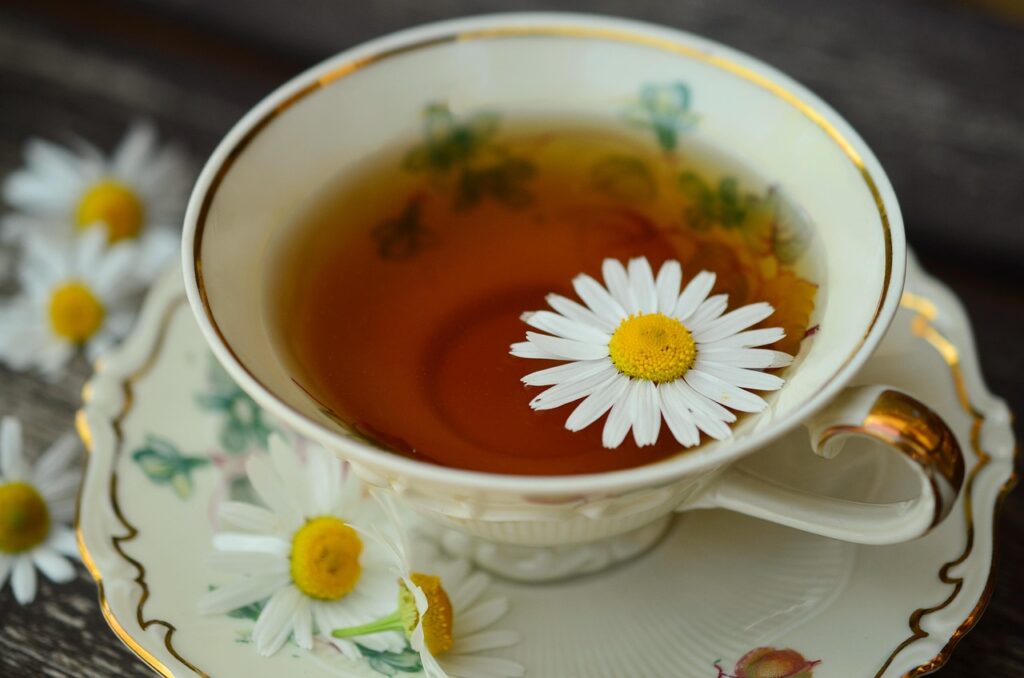 A flower of chamomile plant used in tea