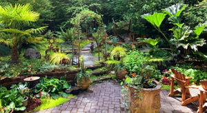 outdoor garden with brick patio and slate steps