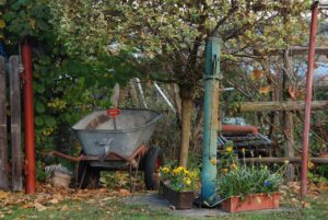 wheelbarrow, rakes, flowers used for cleanup Pixabay