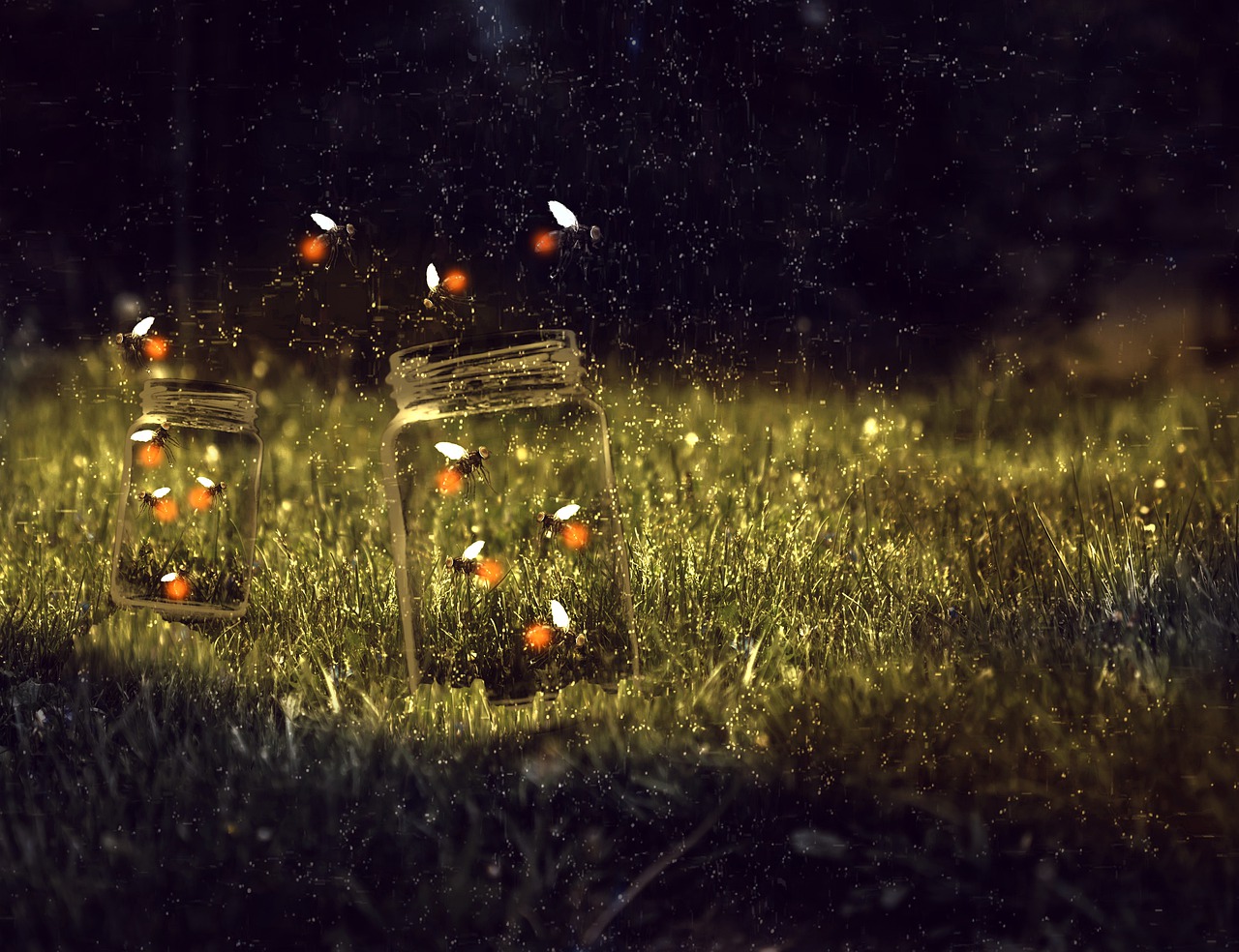 fireflies in a jar the magic of fireflies/ pixabay