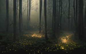 fireflies in the night fog